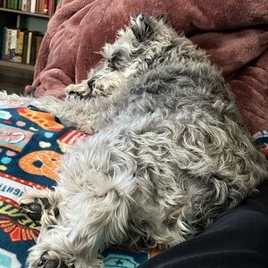 Custom bundle for houseofbowievtg